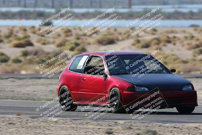 media/Oct-24-2025-Doghouse Garage (Fri) [[783d2ff07a]]/1-Advanced/Session 2 Turn 5 Tree of Life/